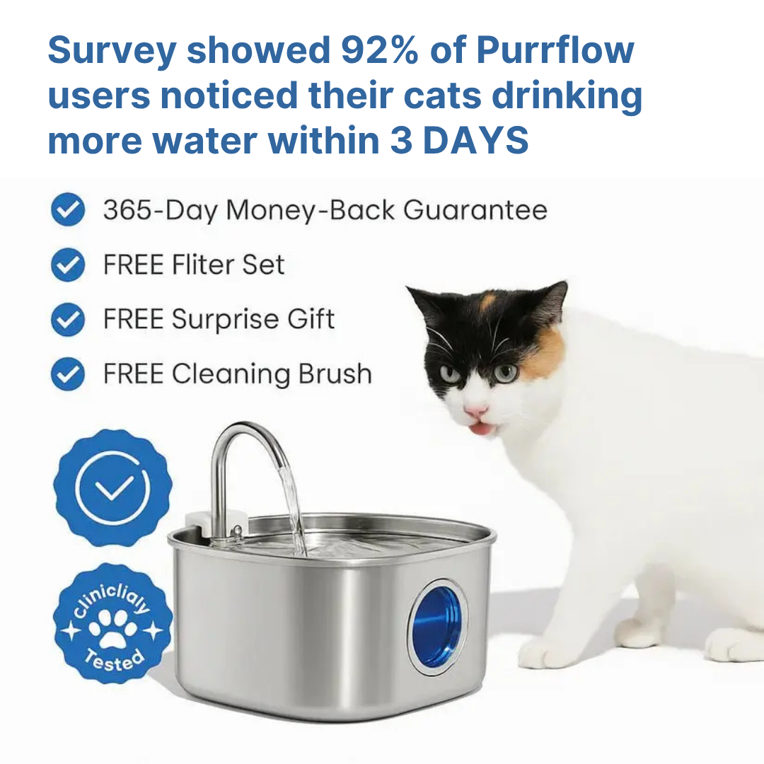 Purrflow™ - Water Fountain