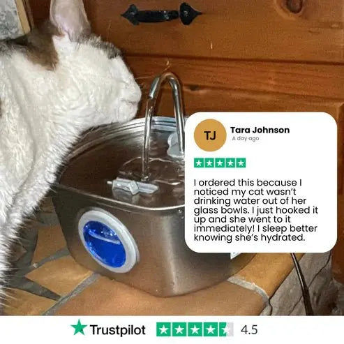 Purrflow™ - Water Fountain