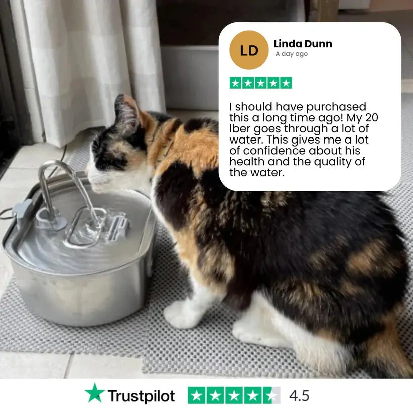 Purrflow™ - Water Fountain